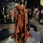 the artistic works of Iris van Herpen